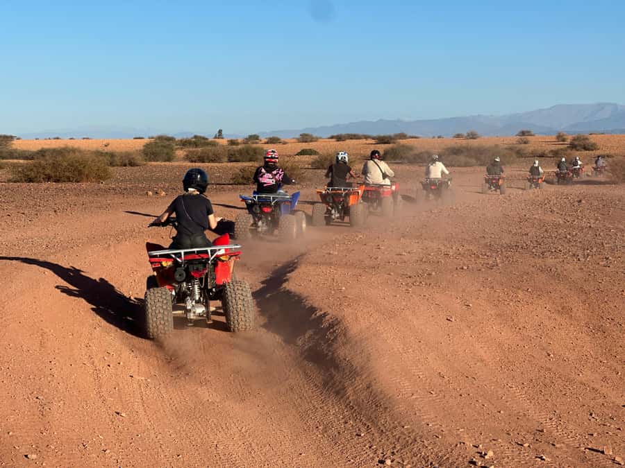 Marrakech: quad Adventure at the Dunes of the palmery desert - Pickup, Van Ride, and Getting Started Smoothly in Marrakech