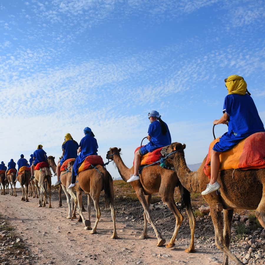 Marrakech: quad bike and Camel Ride in Marrakech - The switch to camel riding: 30 minutes of calm after the speed