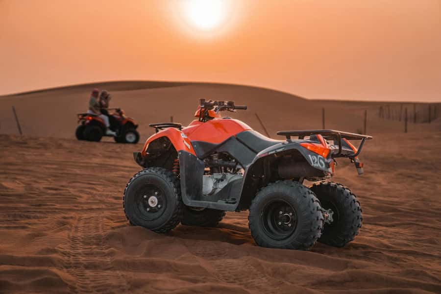 Marrakech : Quad Bike and Camel Ride with dinner in Agafay - Argan oil cooperative and tea: the cultural pause you’ll remember