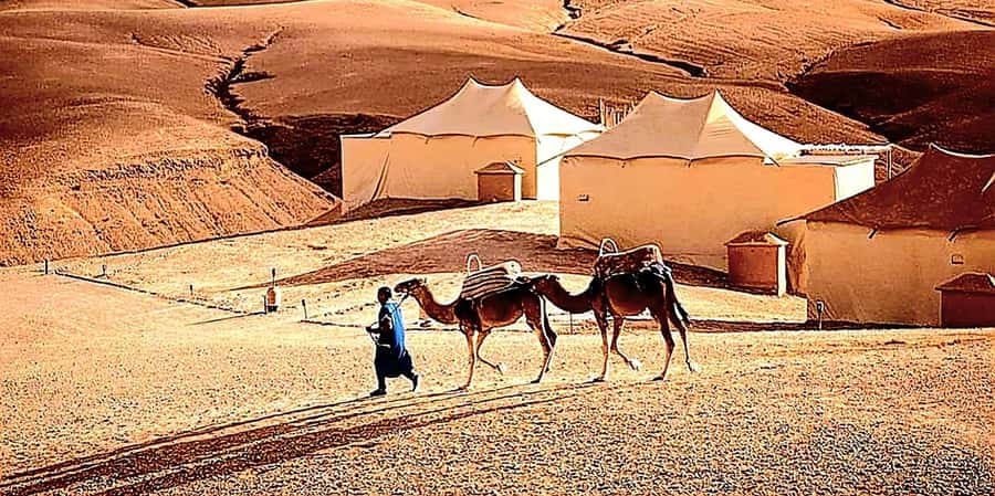 Marrakech : Quad Bike and Camel Ride with dinner in Agafay - Dinner under lanterns: local flavors, music, and what to expect