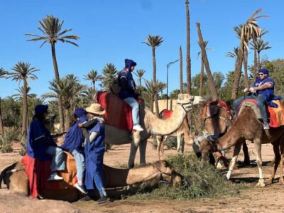 Marrakech: Quad Bike excursion at the sunset with Tea Break - Getting there: hotel pickup, transfer timing, and comfort