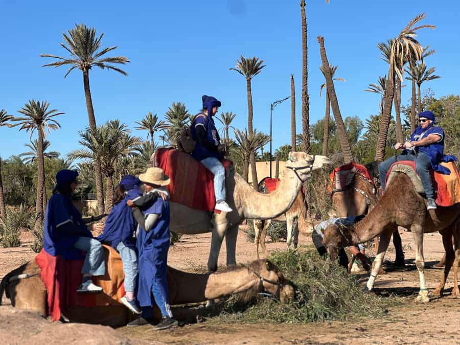 Marrakech: Quad Bike excursion at the sunset with Tea Break - Getting there: hotel pickup, transfer timing, and comfort
