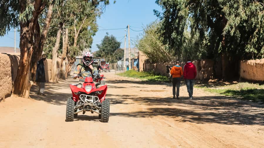 Marrakech Quad Bike Experience: Desert and Palmeraie - Key Highlights You’ll Actually Care About