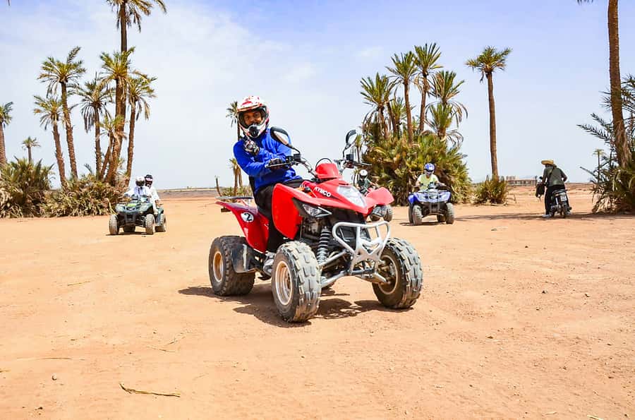 Marrakech: Quad Bike Tour to Palm Oasis and Jbilat Desert - Who this tour suits (and who should skip it)