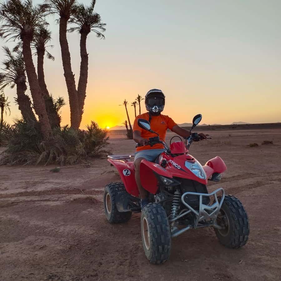 Marrakech: Quad Bike Tour to Palm Oasis and Jbilat Desert - Palm Grove to Jbilat Desert: the simple pitch that works