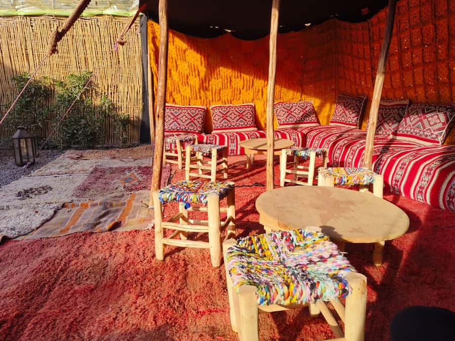 Marrakech: Quad Bike Tour to Palm Oasis and Jbilat Desert - Tea break in the desert: bread, honey, and a calm pause