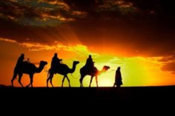 Marrakech: Quad & Camel Ride with Sunset, Dinner & Show - Key highlights for your Marrakech quad-and-camel sunset night