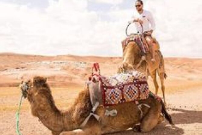 Marrakech: Quad & Camel Ride with Sunset, Dinner & Show - Dinner and the night show: what to expect after the rides