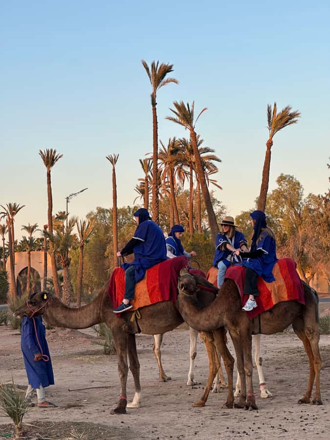 Marrakech:quad excursion at Jbilet desert with Moroccan tea - Hotel Pickup and the Smooth Start From Marrakesh