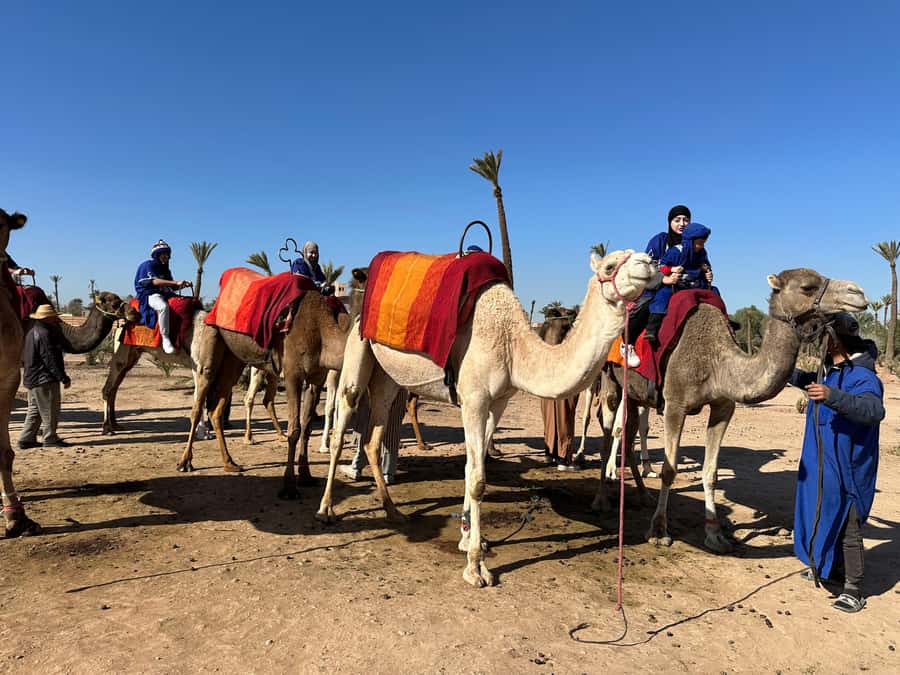 Marrakech:quad excursion at Jbilet desert with Moroccan tea - Two Hours of Quad Time in the Jbilet Desert