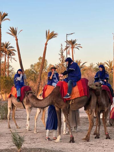 Marrakech:quad excursion at Jbilet desert with Moroccan tea - Palm Grove Trails and the Photo Break That Actually Matters