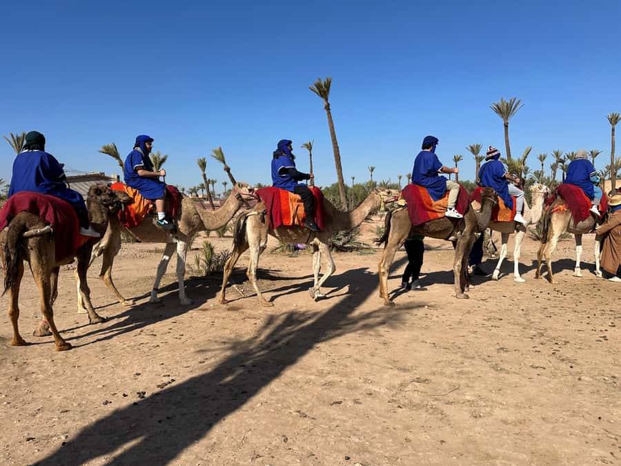 Marrakech:quad excursion at Jbilet desert with Moroccan tea - Moroccan Tea Break: The Calm in the Middle of the Ride