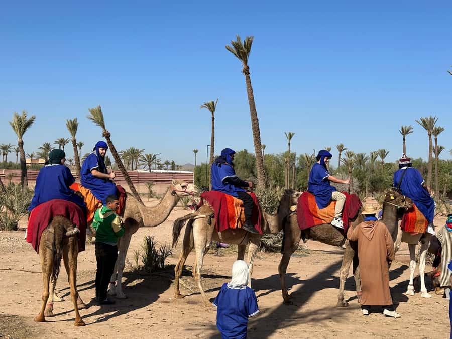 Marrakech:quad excursion at Jbilet desert with Moroccan tea - Guides, Safety, and the Tiny Moments You Should Watch