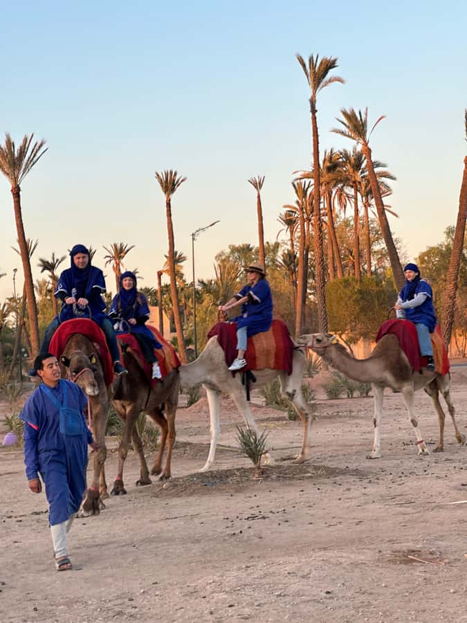 Marrakech:quad excursion at Jbilet desert with Moroccan tea - Price and Value: Is $17 Worth a Quad and Tea Day?