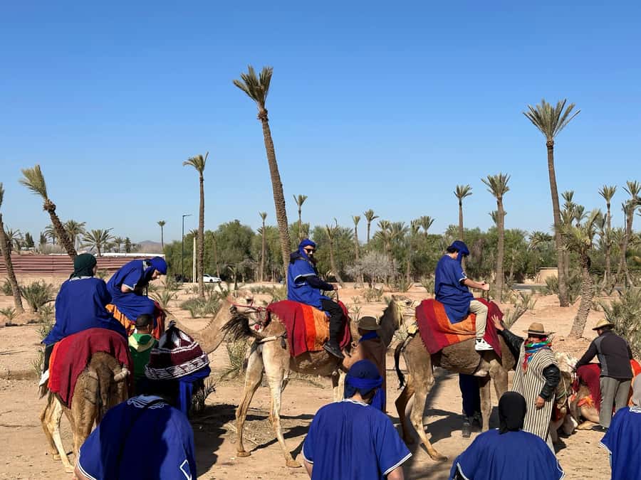 Marrakech:quad excursion at Jbilet desert with Moroccan tea - Should You Book This Marrakech Quad Excursion With Moroccan Tea?