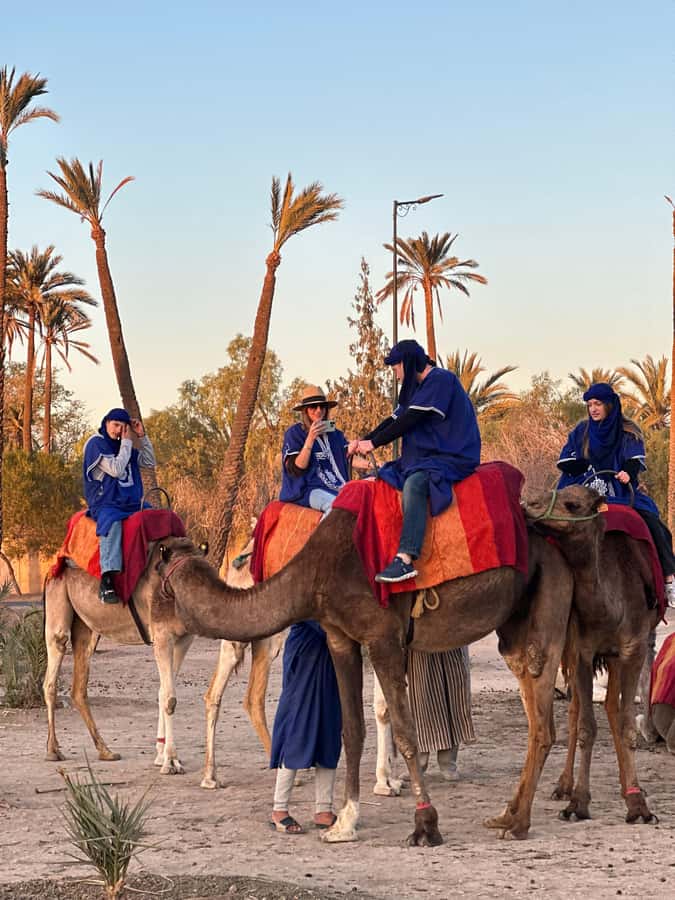 Marrakech:quad excursion at Jbilet desert with Moroccan tea - Palm Grove Trails and the Photo Break That Actually Matters