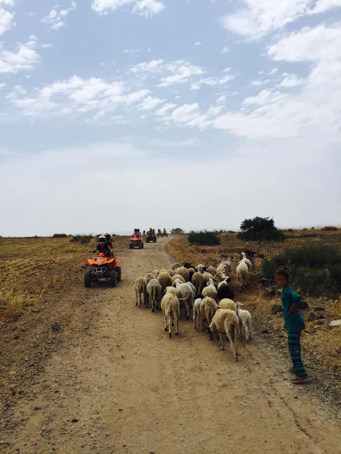 Marrakech: Quad Tour in Jbilets Desert with Palm Grove - Riding the Jbilets Desert and Berber Villages: Where the Fun Lives