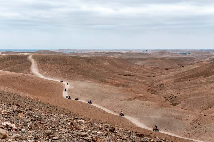 Marrakech: Quad Tour in Jbilets Desert with Palm Grove - Price and Value: Why This Tour Feels Like a Deal