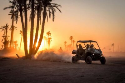 Marrakech : Ride buggy in the desert of the palm grove - The “why this works” part: palm grove, open desert, and real off-road variety