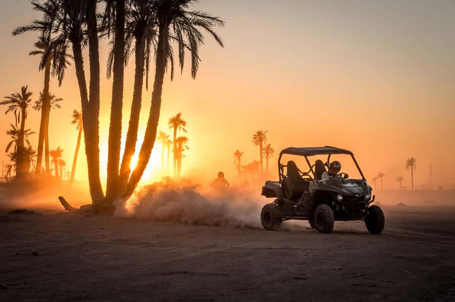 Marrakech : Ride buggy in the desert of the palm grove - The “why this works” part: palm grove, open desert, and real off-road variety
