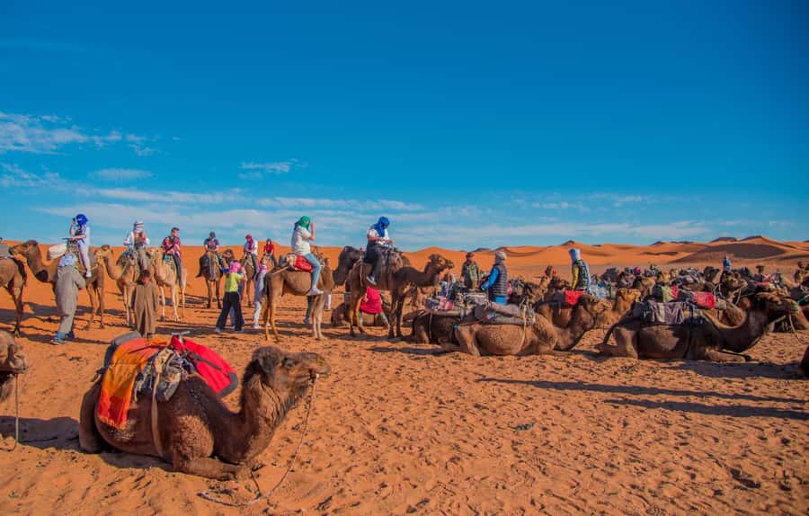 Marrakech to Fes: 3-Day Merzouga Desert Camel & Sandboarding - Dades Gorges and Todra: the canyon walk that changes your perspective