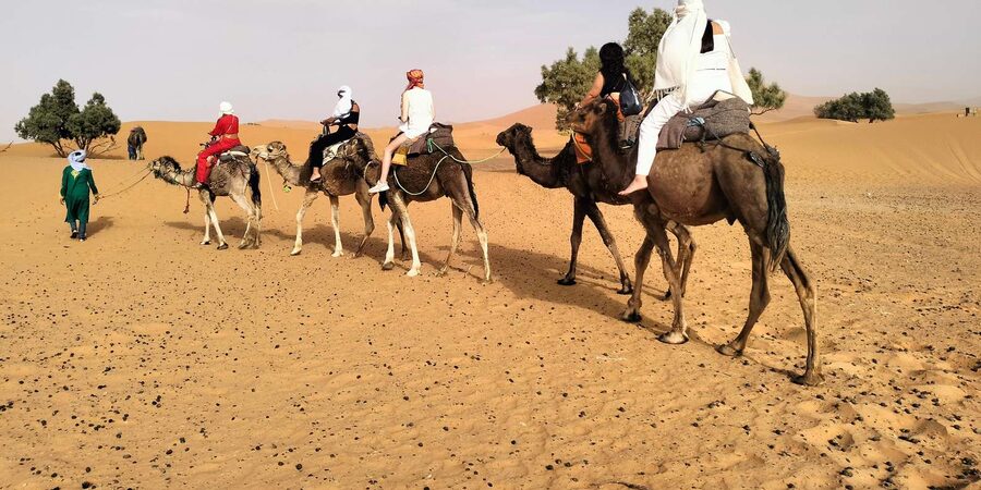Marrakech to Fes 3 Days Sahara Desert Tour With Camel & Quad - Guide and Driver Factor: Small Group, English, and the Teams People Rate Highly