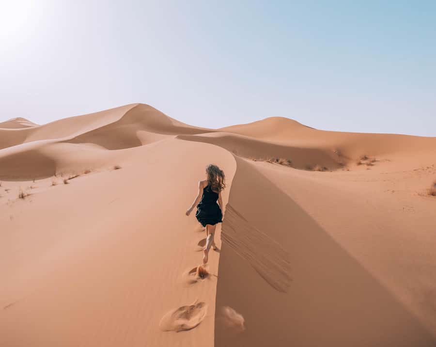 Marrakech to Fes: Quad, Dinner, Camel, 3-Day Desert Tour - The return drive to Fes: Ziz canyon, cedar forest monkeys, and Midelt breaks