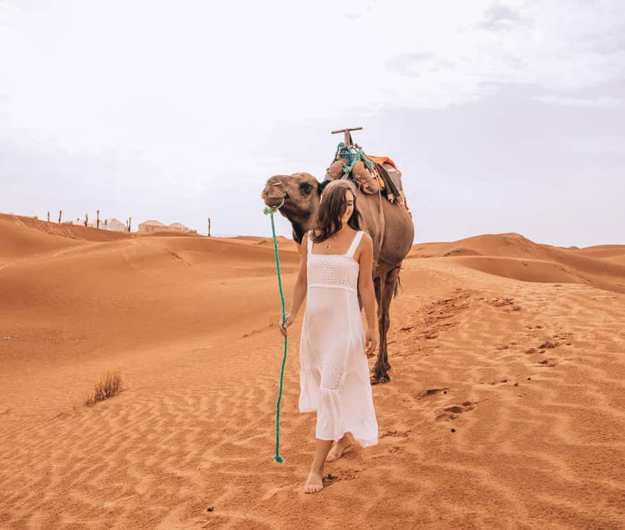 Marrakech to Fes: Quad, Dinner, Camel, 3-Day Desert Tour - High Atlas Pass and Aït Benhaddou: the day the trip turns cinematic