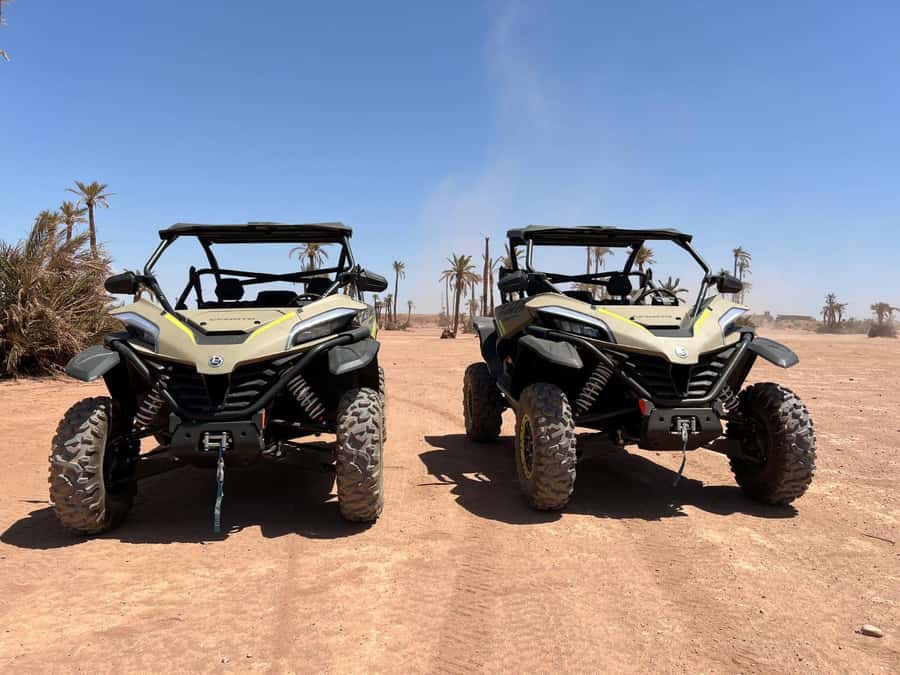 Marrakech: Tour Buggy 1000cc In Palm Oasis and Jbilat Desert - Key Highlights at a Glance