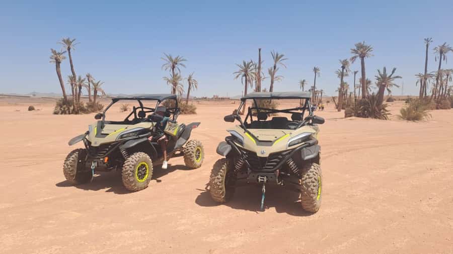 Marrakech: Tour Buggy 1000cc In Palm Oasis and Jbilat Desert - Palmeraie Break: Guided Time, Photos, and Hot Mint Tea