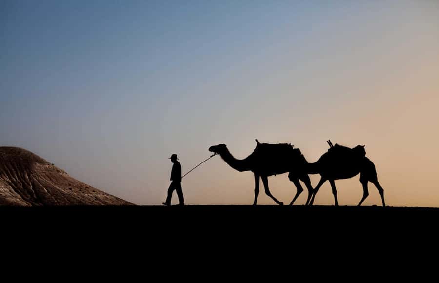Marrakesh: Agafay Desert Quad & Camel Tour with Dinner - Getting From Marrakech to Agafay: the drive time that actually matters