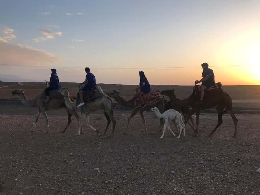 Marrakesh: Agafay Desert Quad & Camel Tour with Dinner - Dinner in a Berber tent: the meal plus the atmosphere