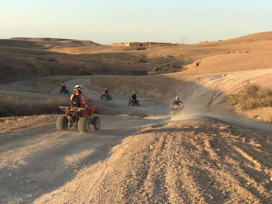 Marrakesh: Agafay Desert Quad & Camel Tour with Dinner - Price and value: what you’re really paying for at $81