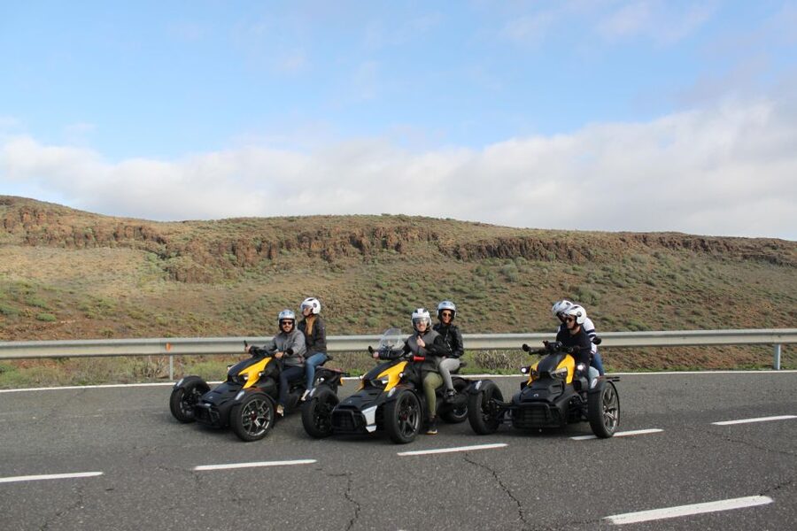 Maspalomas: Ryker Moto Tour to Fataga (Mountain buggy) - Aloe vera plantation: why this “quick local” stop is more than a checkbox