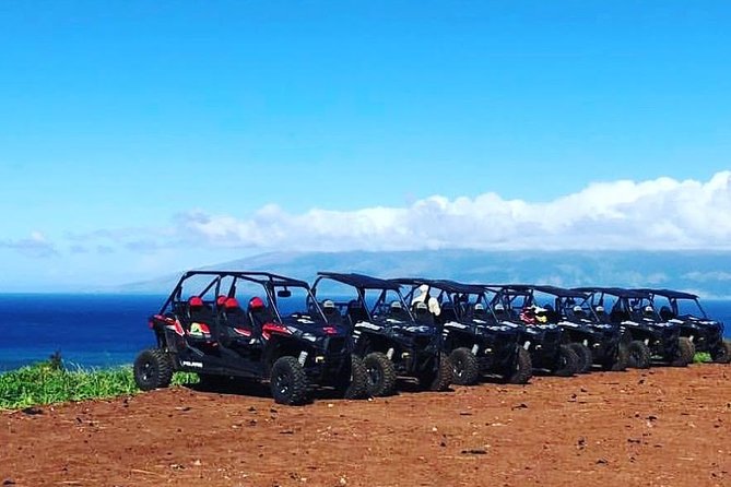 Maui: Lahaina ATV Adventure - Quick take: the best parts to know before you go