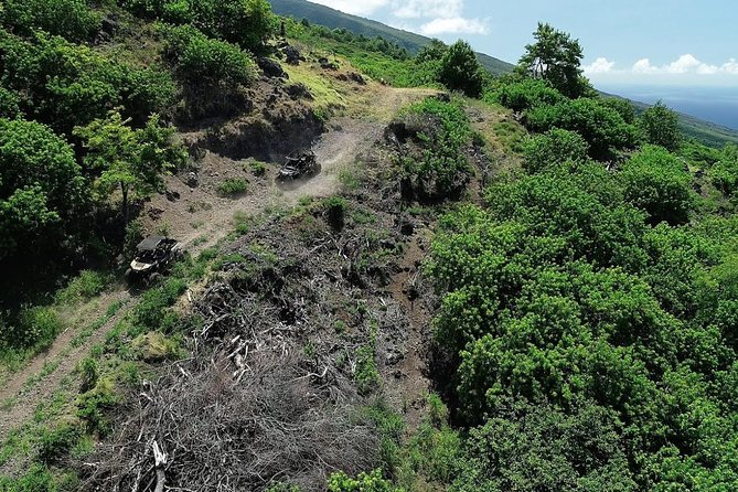 Maui: Lahaina ATV Adventure - Puu Kukui Watershed Preserve: where the trail changes from road to real