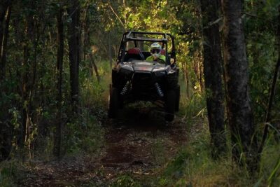 Maui: Lahaina ATV Adventure - The two-hour flow: stops for views, photos, and ecosystem talk