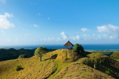 Mauritius: 2 Hours Buggy Ride - Bel Ombre Nature Reserve - What the Small Group (Max 8) Means for Your Enjoyment