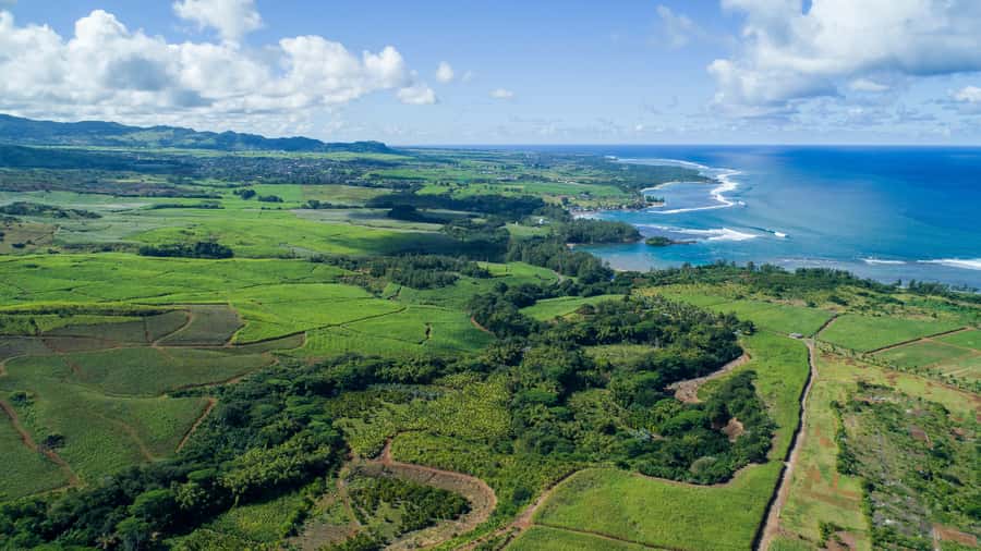 Mauritius: Bel Ombre Nature Reserve Quad Bike Tour - Key things that make this tour worth it