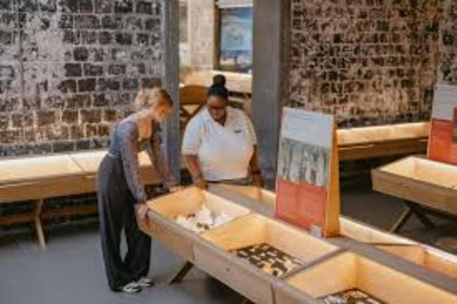 Mauritius: Bel Ombre Nature Reserve Quad Bike Tour - The Free World of Seashells Museum Pass (And Why It’s a Good Bonus)