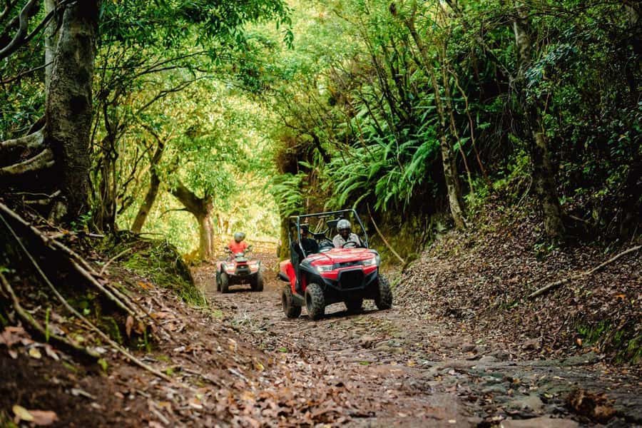 Mauritius: Bel Ombre Nature Reserve Quad Bike Tour - Weather, Mud, and Reschedules: How to Think About It
