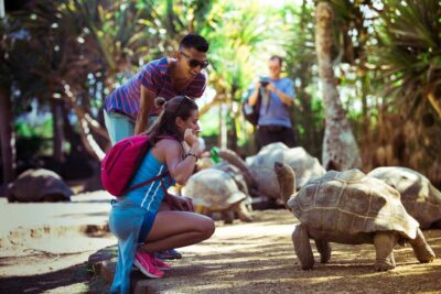 Mauritius: Full-Day Quad Bike Tour with Lunch - Gris Gris cliffs and La Roche qui Pleure: the star scenery stop