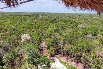 Maya Adrenaline: ATV, Ziplines & Cenote From Playa del Carmen. - ATV Jungle Ride: Driving Your Own Machine on Mud, Stones, and Water