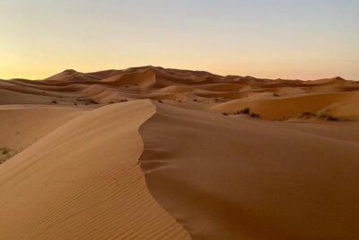 Merzouga Desert Quad bike Adventure with Sand boarding - Camel feeding in the Sahara: quick, local, and surprisingly meaningful
