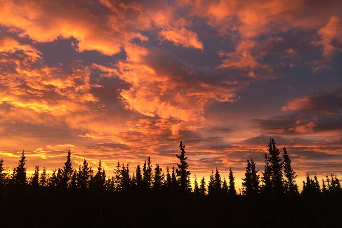 Midnight Sun ATV Adventure 2.5 Hour Tour - Denali on Three Sides: Why This Trail Setup Feels Different
