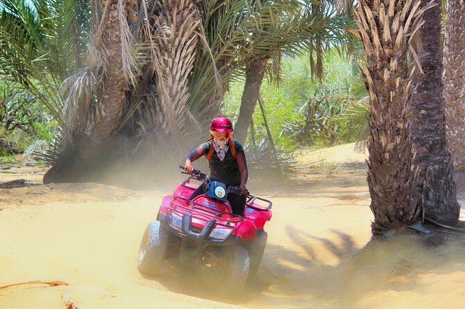 Migriño Beach ATV and Horseback Riding Experience - Horseback to the beach: the slower, scenic half