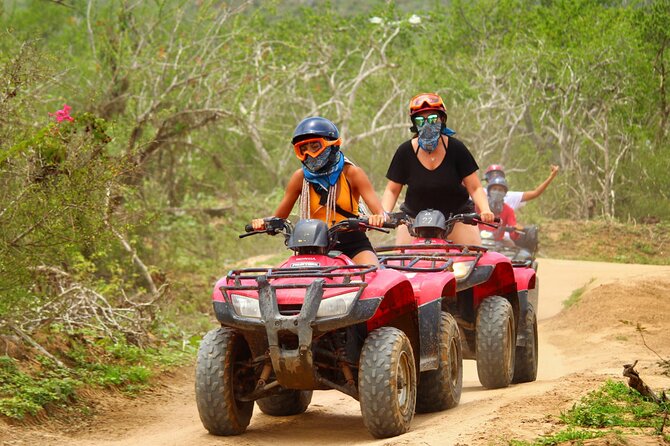 Migriño Beach ATV and Horseback Riding Experience - Tips that make a real difference on Baja dirt roads