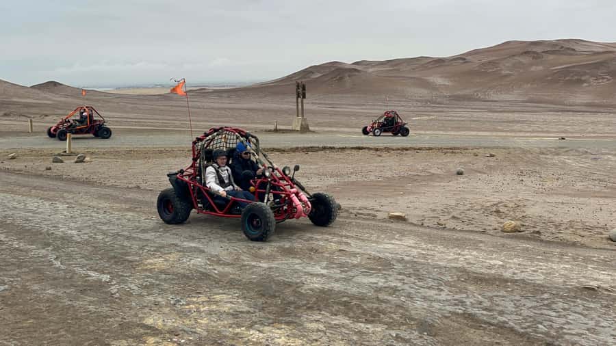 Mini Buggy GO KART in Paracas National Reserve - Key Things to Know Before You Ride
