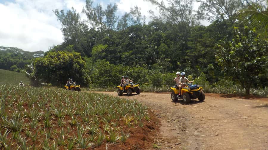 Mo'orea: Guided ATV Nature Tour - Key Highlights You’ll Actually Care About