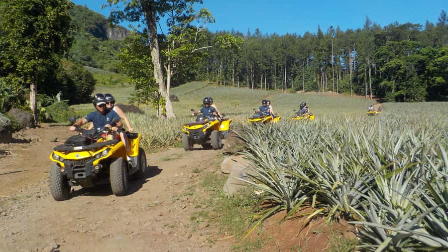 Mo'orea: Guided ATV Nature Tour - Plantation Riding, River Crossings, and the Likely Tastings
